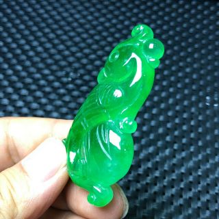 Collectible Green Jadeite Jade Handwork Chinese Riches & Honour Bird Pendant 5