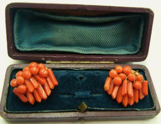A Antique Late Victorian Or Early Edwardian Era Natural Coral Earrings.