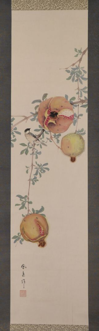 Japanese Hanging Scroll Art Painting " Bird And Pomegranate " E7916