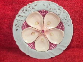 Oyster Plate Antique Oyster Plate Porcelain 5 Wells Oyster Plate C.  1800 