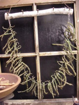 Pioneer Leather Britches Green Beans Garland Peg Hanger Swag 2