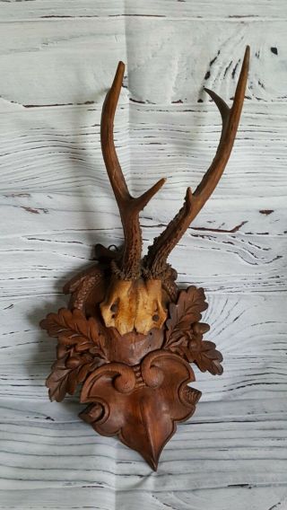 Antique Black Forest Antler Germany Hand Carved Wood Trophy Plaque Taxidermy