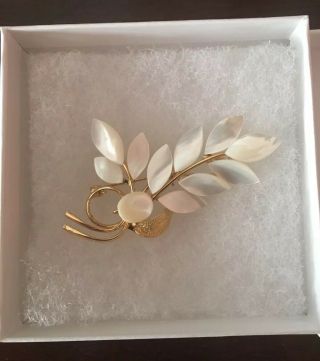 Vintage Antique Mother of Pearl Brooch RARE 2