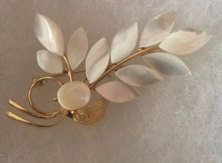 Vintage Antique Mother of Pearl Brooch RARE 5