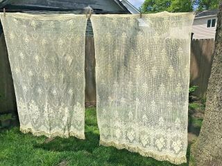 Antique Set Of 2 Different Lace Fringed Curtain Panels,  36 " W X 60 " L,  Fabulous