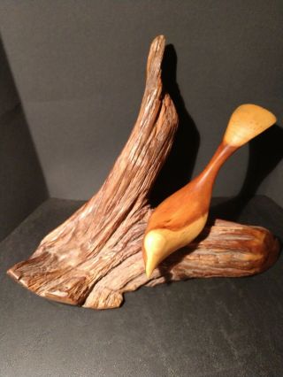 Hand Carved Cherry Bird On A Pine Root Wood Carving Signed E.  Yeagle - Pa Artist