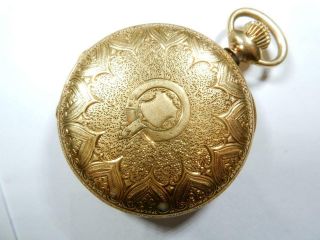 Lady Waltham 18K Solid Gold Demi - Hunter Case Pocket Watch 10052857 11