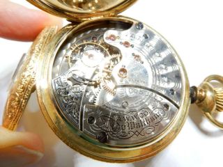 Lady Waltham 18K Solid Gold Demi - Hunter Case Pocket Watch 10052857 7