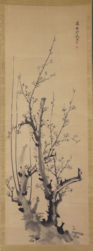 Japanese Hanging Scroll Art Painting " Plum Blossoms " Takaku Aigai E7692