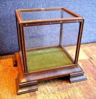 Vintage Wooden Framed Glass Velvet Lined Display Case/terrarium (tabletop Case)