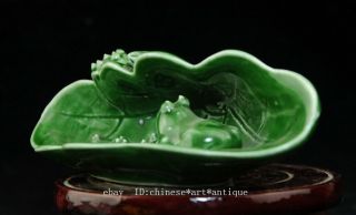 China Old Hand - Made Green Glaze Porcelain Lotus Leaf Frog Pen Wash 69 B01