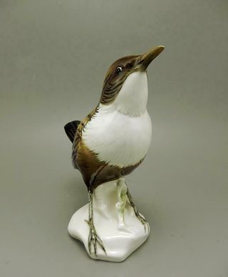 FINE KARL ENS PORCELAIN FIGURINE OF A WHITE THROATED DIPPER BIRD OF NORWAY 3