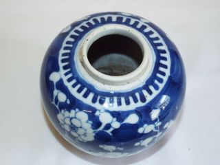 Antique Chinese porcelain handpainted Prunus Jar with four character makers mark 3