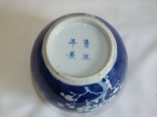 Antique Chinese porcelain handpainted Prunus Jar with four character makers mark 8