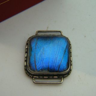 1930s Silver Art Deco Natural Blue Butterfly Wing Bracelet / Chocker Necklace