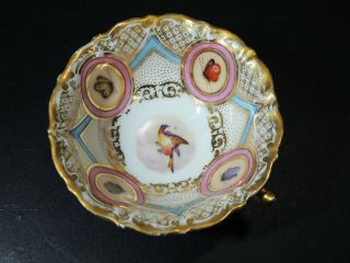 Antique Tea Cup Vtg Victorian Butterfly & Bird Hand Painted Porcelain