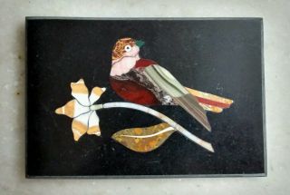 Love Bird 17 Pietra Dura Plaque Micro Mosaic From India