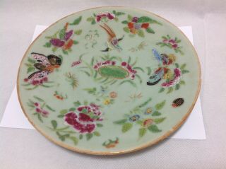 19th C Chinese Porcelain Famille Rose Butterfly Lotus Plate Qing Dynasty Celadon