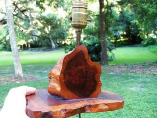 Rare Vtg California Redwood Tree Lamp Table Lamp Label Pepperwood