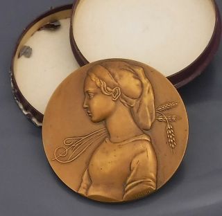 Large Bronze French Art Nouveau Medal 