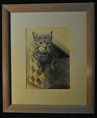 Antique Engraving By John A.  Lowell & Co.  Cat In A Basket Copyright 1893 Framed