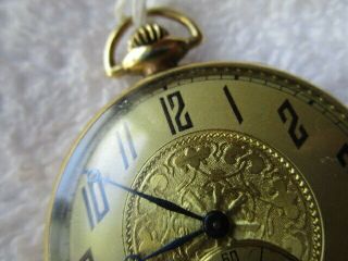 Antique WALTHAM WATCH COMPANY Pocket Watch (53) 25 Year 17 Jewels 3