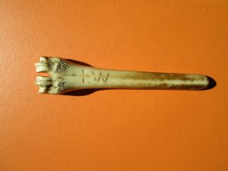 Antique apple corer made of bone 4.  1/4 inches long in a well aged. 2