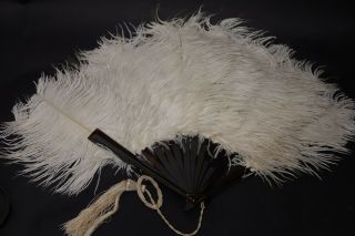 Wonderful Old White Ostrich Feather Fan With Faux Tortoise Shell Handle - Rare