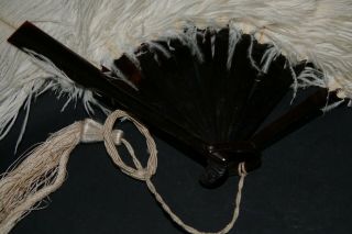 WONDERFUL OLD WHITE OSTRICH FEATHER FAN WITH FAUX TORTOISE SHELL HANDLE - RARE 2