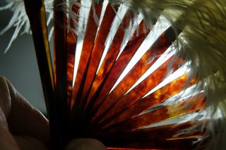 WONDERFUL OLD WHITE OSTRICH FEATHER FAN WITH FAUX TORTOISE SHELL HANDLE - RARE 4