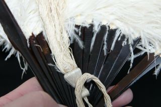 WONDERFUL OLD WHITE OSTRICH FEATHER FAN WITH FAUX TORTOISE SHELL HANDLE - RARE 5