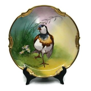 Rare Antique Borgfeldt Coronet Limoges Game Bird Plate L.  Coudert France Plaque