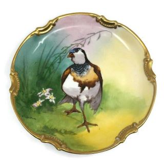 RARE Antique Borgfeldt Coronet Limoges Game Bird Plate L.  Coudert France Plaque 5
