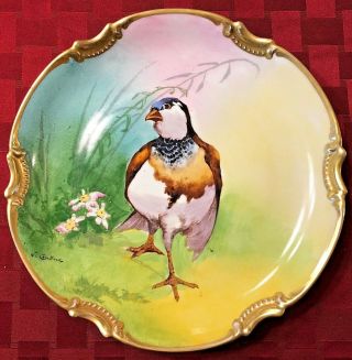 RARE Antique Borgfeldt Coronet Limoges Game Bird Plate L.  Coudert France Plaque 6