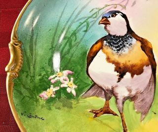 RARE Antique Borgfeldt Coronet Limoges Game Bird Plate L.  Coudert France Plaque 7