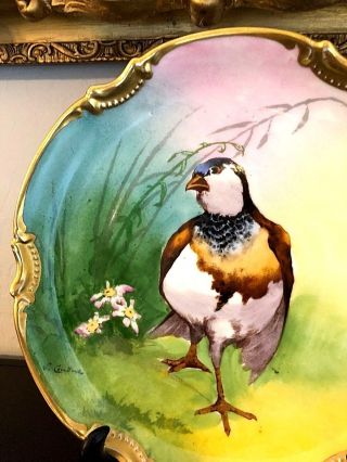 RARE Antique Borgfeldt Coronet Limoges Game Bird Plate L.  Coudert France Plaque 8
