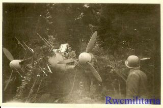 Org.  Photo: Us Troops Find Abandoned Luftwaffe Me - 110 Night Fighter In Woods