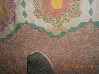 Antique Quilt Grandmothers Garden 5