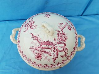 Antique French: GIEN Opaque Porcelain,  circa 1900,  model with thistles,  soup tureen 2