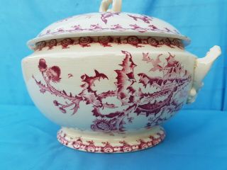 Antique French: GIEN Opaque Porcelain,  circa 1900,  model with thistles,  soup tureen 3