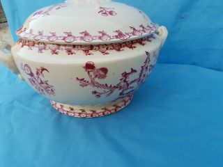Antique French: GIEN Opaque Porcelain,  circa 1900,  model with thistles,  soup tureen 6
