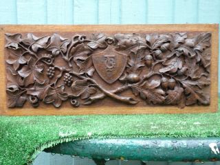 19thc Black Forest Wooden Oak Carved Panel With Acorns,  Oak Leaves C1880s