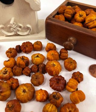 5 Cups Golden Orange Putka Pods Mini Pumpkins Potpourri Prim Miniatures Fairy