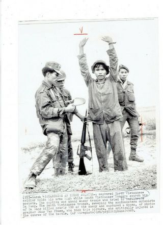 Vietnam War Press Photo - So.  Viet Rangers Search Captured Soldier - Da Nang