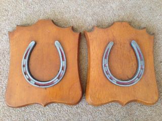 Antique Horse Shoes Mounted On Wooden Plaques