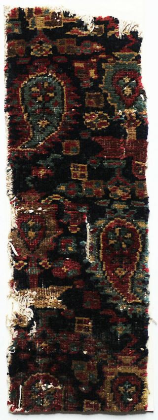 Antique Textile Fragment - Carpet,  Kilims,  Loop Weave,  Paisley,  Middle East