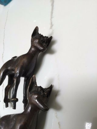 Two Antique Bronze Dogs.  Pegs on Paws.  Antique Experts Please Read Narrative. 4