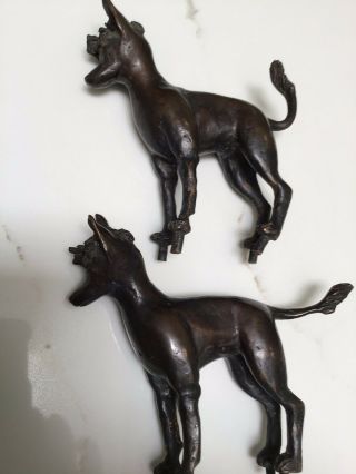Two Antique Bronze Dogs.  Pegs on Paws.  Antique Experts Please Read Narrative. 5