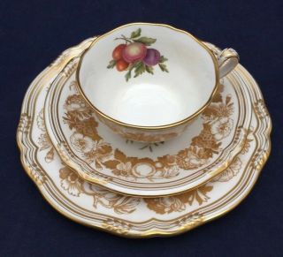 Vintage Spode Golden Valley Orchard Fruit Cup and Saucer Trio Set Y7049 2