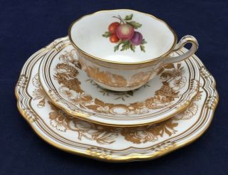 Vintage Spode Golden Valley Orchard Fruit Cup and Saucer Trio Set Y7049 5